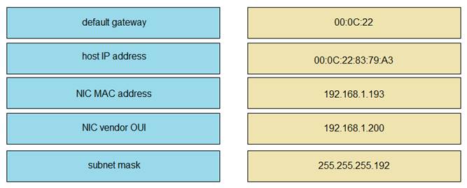 200-301 dumps exhibit