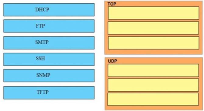 200-301 dumps exhibit