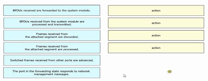 200-301 dumps exhibit