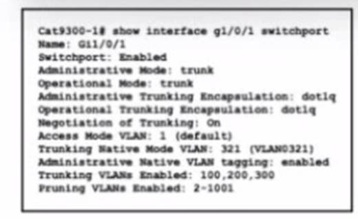 200-301 dumps exhibit