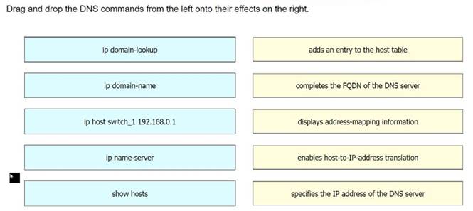 200-301 dumps exhibit