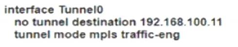 300-410 dumps exhibit