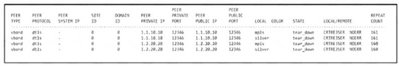300-415 dumps exhibit