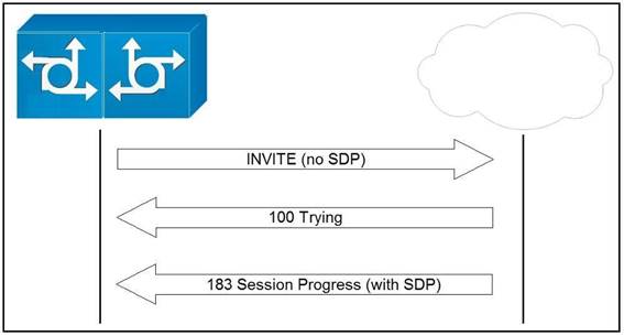 300-815 dumps exhibit
